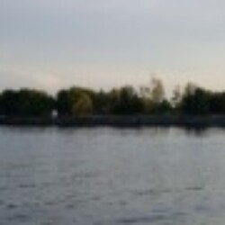 Profile picture of Neil