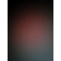 Profile picture of Rayan