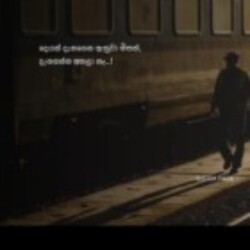 Profile picture of Tharushi96