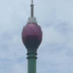 Profile photo of Nobbless