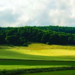 Profile photo of mary