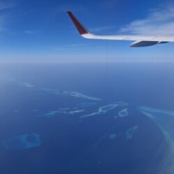 Profile photo of chamara