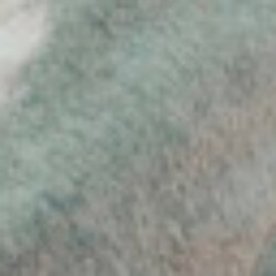 Profile picture of The Romancer