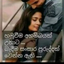 Profile photo of Lakmal322