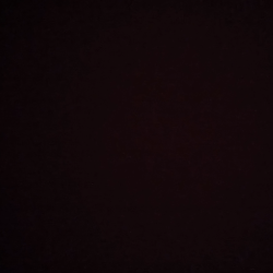 Profile photo of Kamal