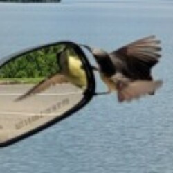 Profile picture of Prabodha Sandeep