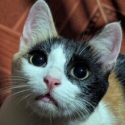 Profile photo of Randy