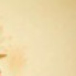 Profile photo of Kasun n Reshmi