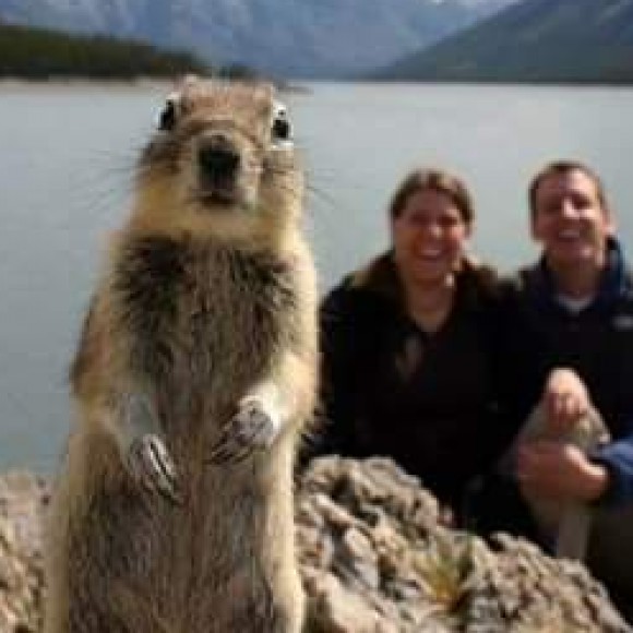 Profile picture of dilan perera