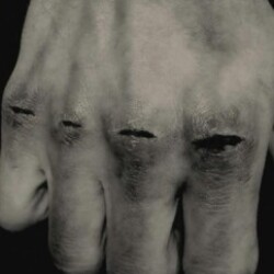 Profile photo of Lasintha Madushan