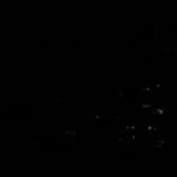 Profile picture of Idushan