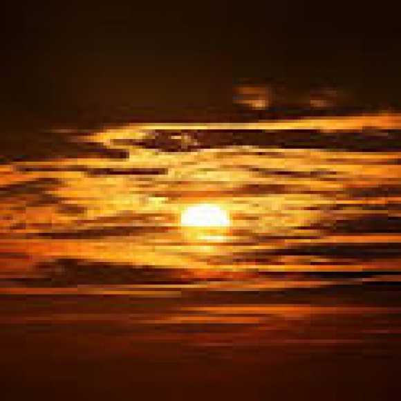 Profile picture of samsan