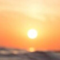 Profile photo of Niro