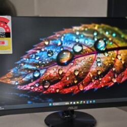 Profile photo of Alpha