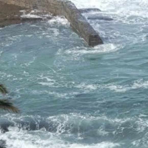 Profile picture of Sam