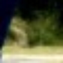 Profile photo of Sanka Maduranga