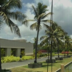 Profile photo of Pras