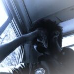 Profile photo of Adheesha