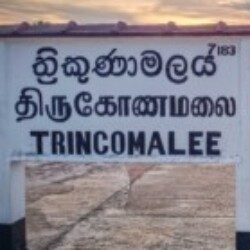 Profile picture of Benshan