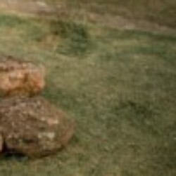 Profile picture of Charitha