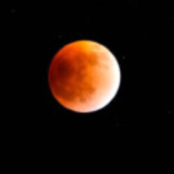 Profile picture of Kaif