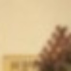 Profile picture of Mishal_