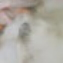 Profile picture of Tharaka