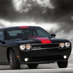 Profile picture of royal-chami