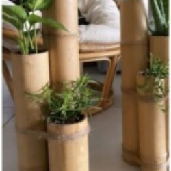 Profile picture of John player