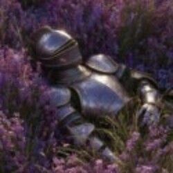 Profile picture of Np