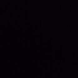Profile photo of NJ