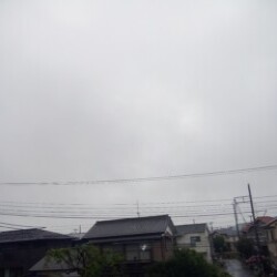 Profile picture of A ranmal