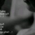 Profile photo of Harini