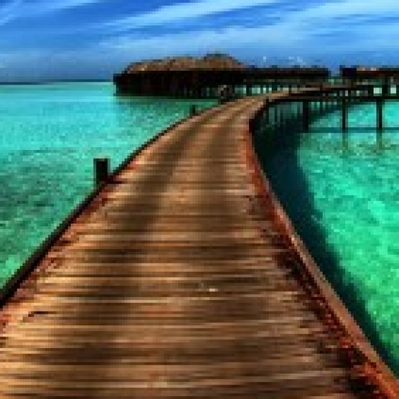 Profile picture of Asanka Kithulwaththa