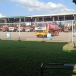 Profile photo of Hasun