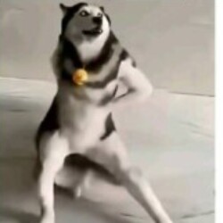 Profile picture of Sadun hasaranga