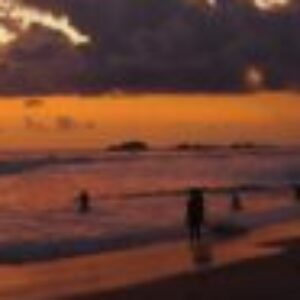 Profile photo of Bhagya_465