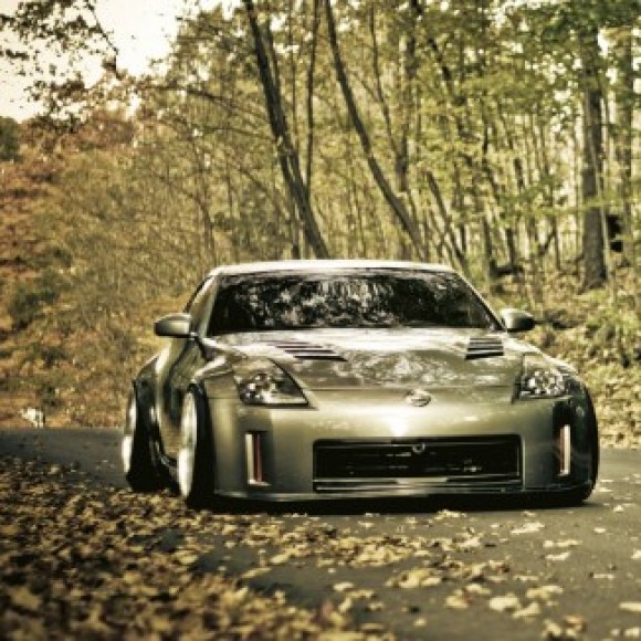 Profile picture of dilshan perera