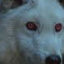 Profile photo of Sampath