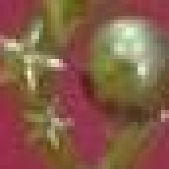 Profile photo of viraj