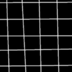 Profile photo of sam