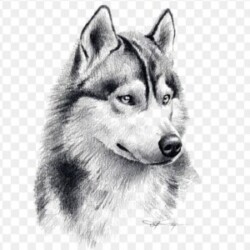 Profile photo of Dorian Grey