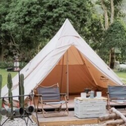 Profile photo of Sulochana