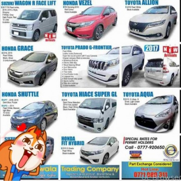 Profile picture of thilina