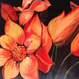 Profile photo of Nelum.