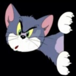 Profile picture of Udesha Madushanka