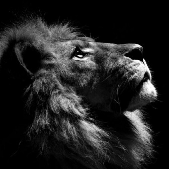 Profile photo of Kushan