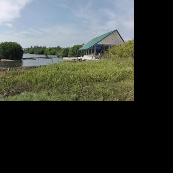 Profile photo of nimsuil