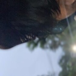 Profile picture of Praveen