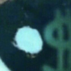 Profile picture of Avishka